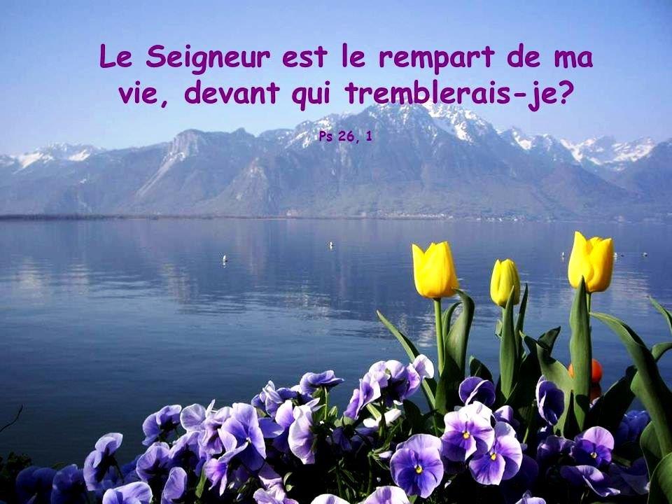 Le Seigneur est ma lumière et mon Salut, de quoi aurais-je crainte ? - Paroisses d'Enghien - Saint Gratien, Saint Ferdinand d'Argenteuil et Saint Paul des Raguenets